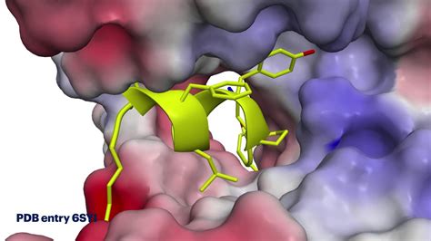 X Ray Structure Of The Influenza Polymerase PA C Terminal Domain And An