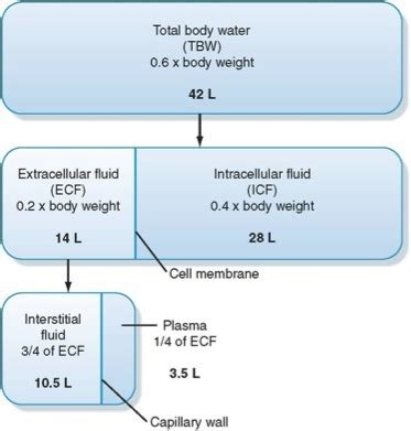 Body Fluids Photos Telegraph