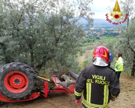 Sicurezza Operaio Forestale Travolto Dai Massi Uila Fermiamo Strage