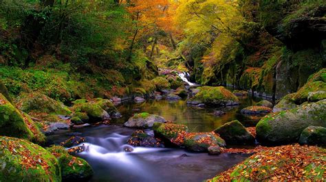 Fondos De Pantalla Paisaje Bosque Cascada Rock Naturaleza