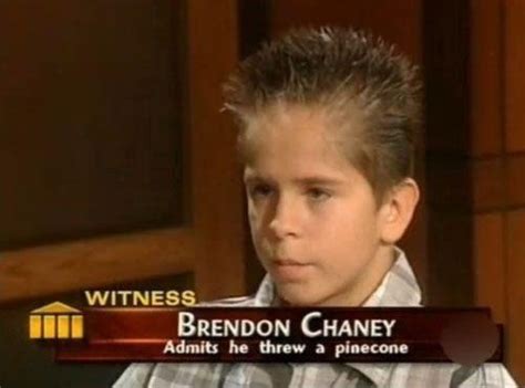 Calm The Fuck Down Brendon Meme Guy