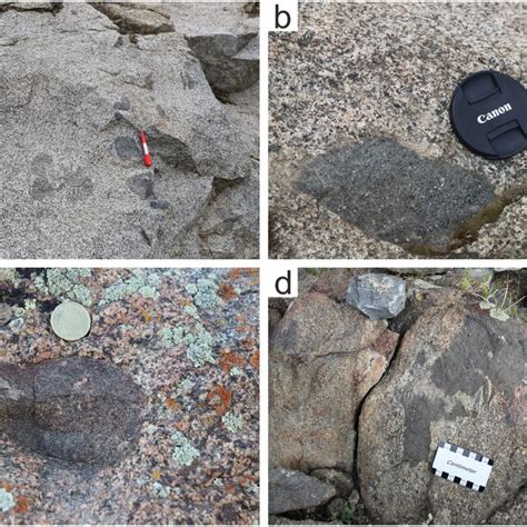 Field Photographs Of The Enclavegranitoid Associations From The