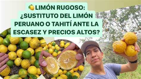 Crisis Del Lim Nconoce Al Rico Lim N Rugoso Puede Sustituir Al