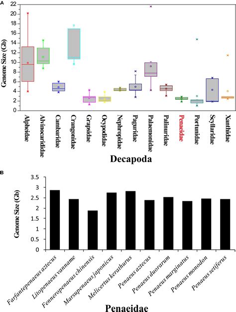 Frontiers Genome Sequencing And Assembly Strategies And A Comparative