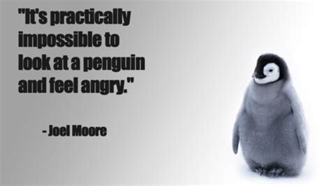 Funny Penguin Quotes. QuotesGram