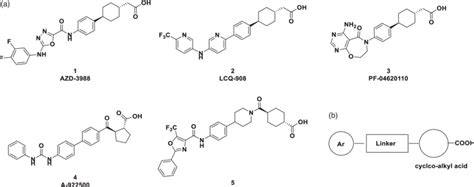 A Structures Of Reported Dgat Inhibitors B Diagram Showing