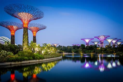 Gardens by the Bay, Singapore, Pond, Evening, Parks, Shrubs, HD Wallpaper | Rare Gallery