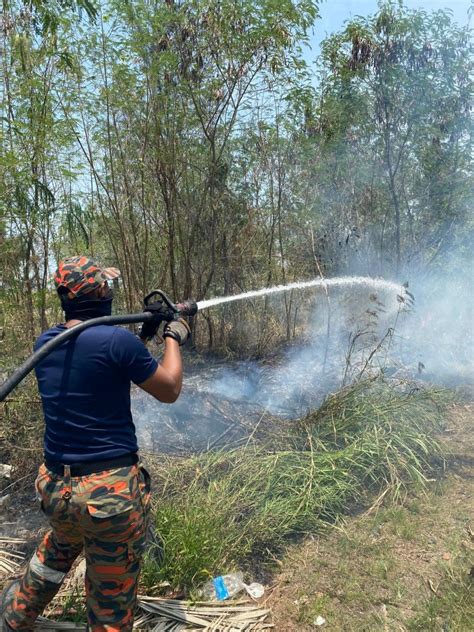 Kebakaran Tanah Gambut Hutan Di Kawasan Adong Dikhuatiri Merebak