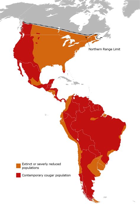 Abe's Animals: Cougar range map