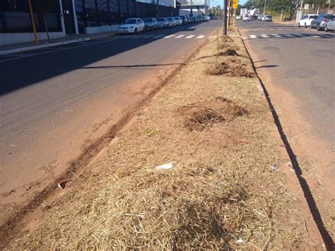 Sear realiza força tarefa para limpeza de avenidas da cidade