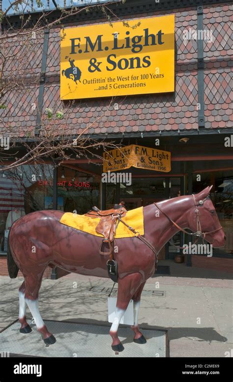 Colorado Steamboat Springs F M Light Sons Western Outfitter Stock