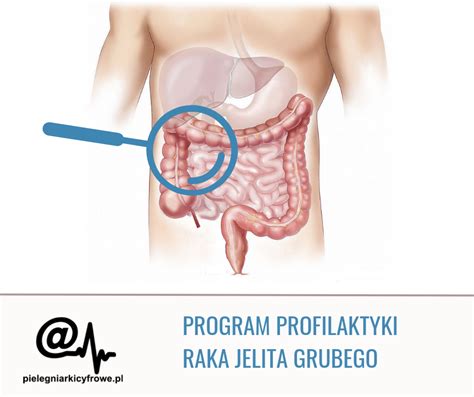 Profilaktyka Stowarzyszenie Piel Gniarki Cyfrowe