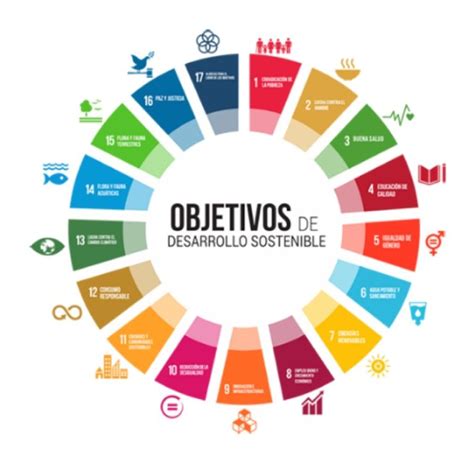 Educación Para El Desarrollo Sostenible Y Agenda 2030 Los Deberes