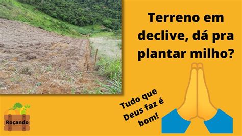 Terreno em declive dá pra plantar milho Preparando a terra para