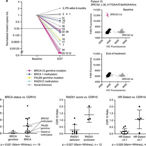 Biomarkers Of Homologous Recombination Hr Repair Deficiency In Tnbc A Download Scientific