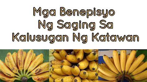 MGA BENEPISYO NG SAGING SA KALUSUGAN HEALTH BENEFITS OF BANANA LUTO