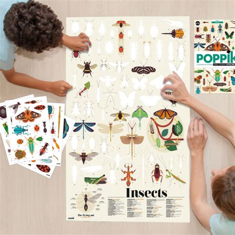 Poster Pédagogique Insectes Le Petit Caribou