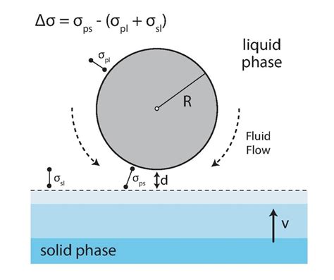 Schematic Of A Particle Within The Liquid Phase Interacting With An