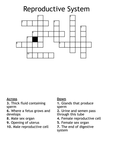 Human Reproductive System Crossword Wordmint