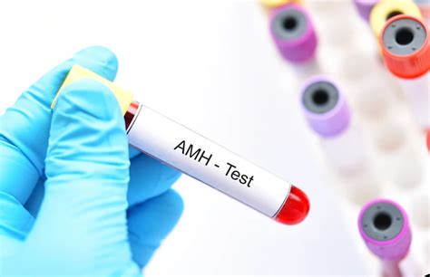 AMH Blood Test – My Blog