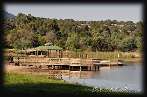 lilydale lake | Dandenong Ranges Nature Photography