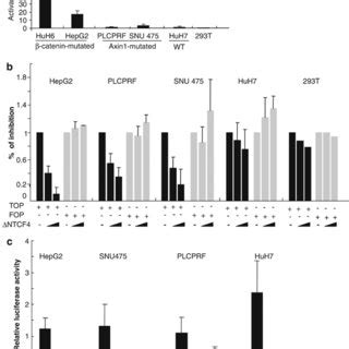 TCF Catenin Transcriptional Activity In Catenin Mutated And