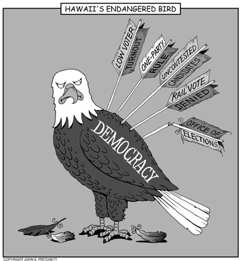 Hawaii democracy endangered cartoon, bald eagle, symbol of democracy