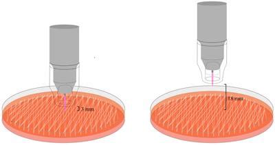 Frontiers Argon Cold Atmospheric Plasma Eradicates Pathogens In Vitro