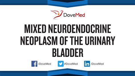 Mixed Neuroendocrine Neoplasm Of The Urinary Bladder