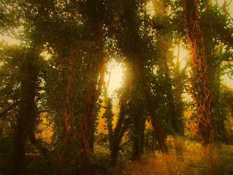 Untitled Paul Austin Murphy Flickr