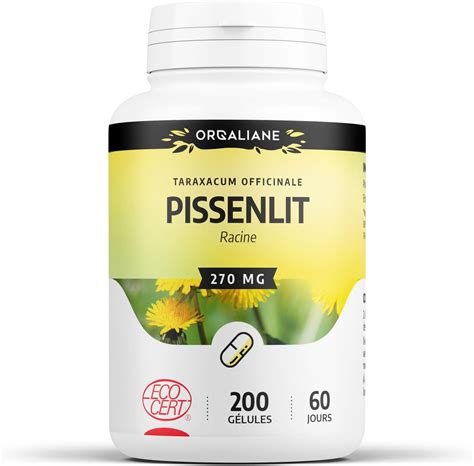 Pissenlit Racine 270 mg 200 gélules Certifié Ecocert Amazon fr