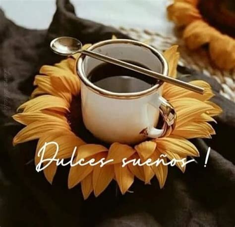 DELIA AROMAS Y ESENCIAS on Instagram Flores y cafe Imágenes de