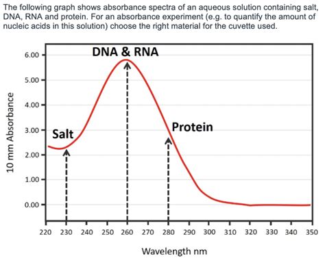 Dna Absorbance Spectrum Padinot