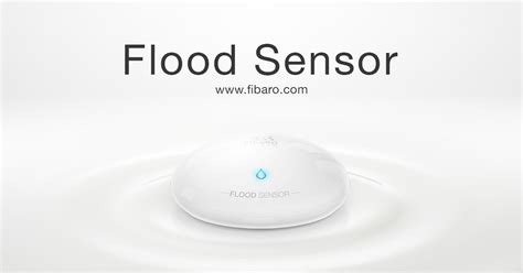 Water leak detector - Flood Sensor | FIBARO