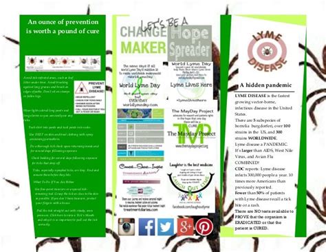 World Lyme Day Brochure