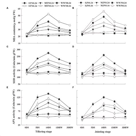 Malondialdehyde Contents MDA A B Superoxide Dismutase SOD C D