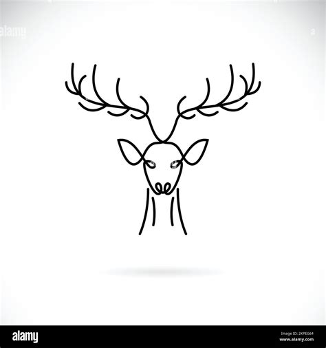 Motif vectoriel de tête de cerf sur fond blanc Animaux sauvages logos