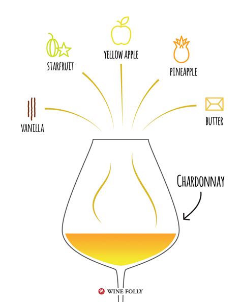 Chardonnay Tasting Notes Illustration By Wine Folly Wine Wine