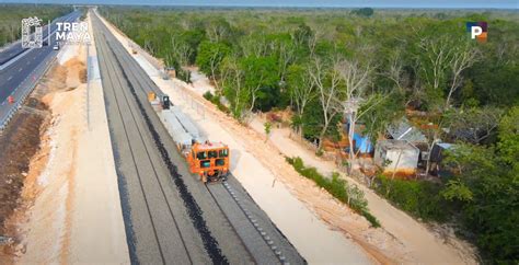 Denuncian ambientalistas deforestación de más de 6 mil hectáreas de