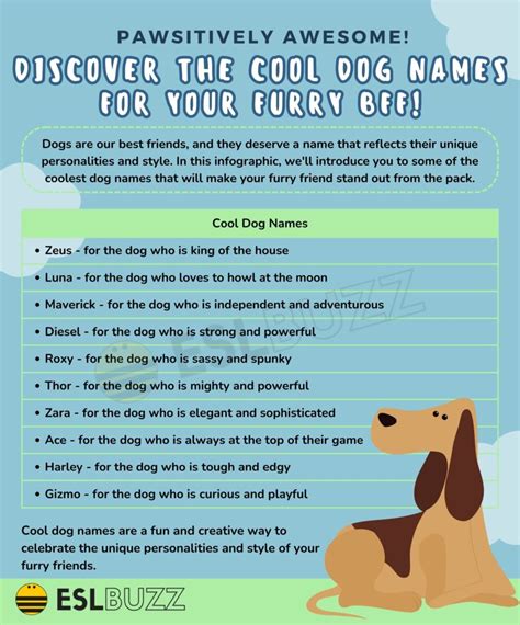 Cool Dog Names: Unique and Fun Options for Your Furry Friend - ESLBUZZ