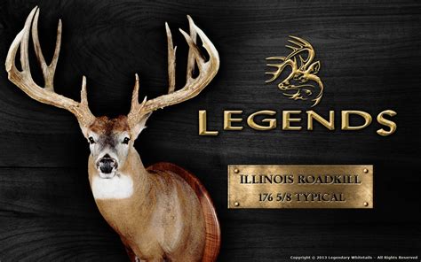 🔥 [50+] Legendary Whitetails Wallpapers | WallpaperSafari