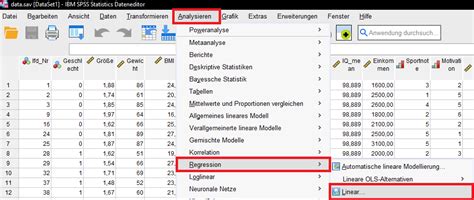 Einfache lineare Regression in SPSS rechnen und interpretieren Björn