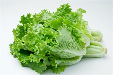 Premium Photo Lettuce Isolated On White Background Lettuce On White