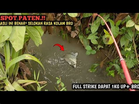 YA TUHAN MANCING DI SPOT SEKECIL INI DAPAT IKAN SEBANYAK INI INI