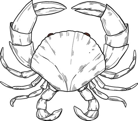 Coloriage Crabe à imprimer et dessin