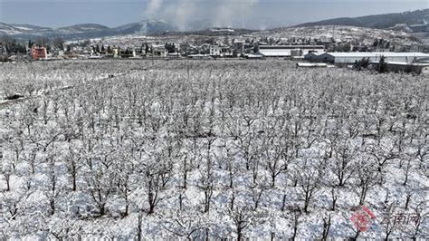 3月12日会泽县普降小到中雪 各部门多举措应对春雪腾讯新闻