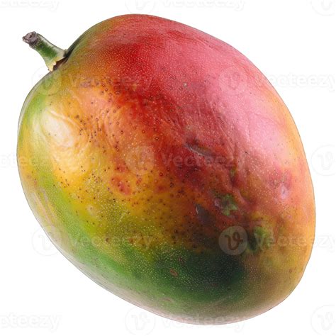 Yellow Ripe Mango Fruit 47493928 Png