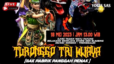 Live Jaranan Hari Ini Turonggo Tri Wijawa Feat Sekar Mayang