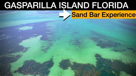 GASPARILLA ISLAND FLORIDA SAND BAR SNORKELING TRAVEL GUIDE YouTube