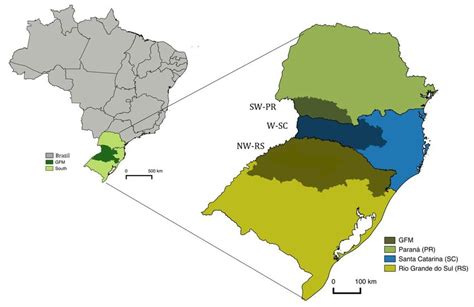 Map of Brazil with Southern Brazil and Grande Fronteira do Mercosul... | Download Scientific Diagram